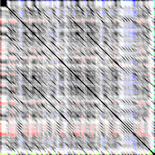 feature CENSpath representation